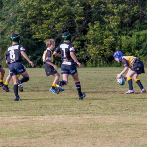 Medowie Rugby Club