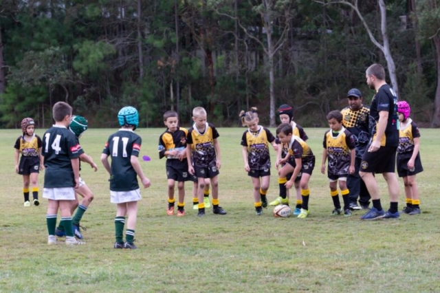 Medowie and Districts Rugby Club