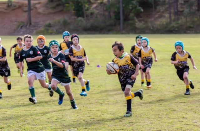 Medowie and Districts Rugby Club