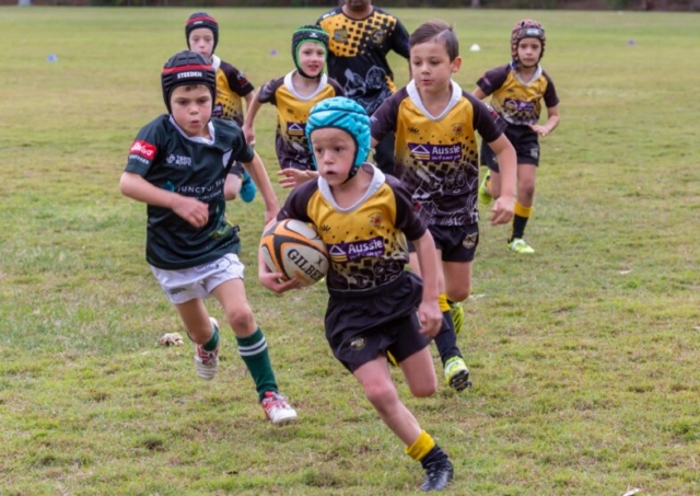 Medowie and Districts Rugby Club
