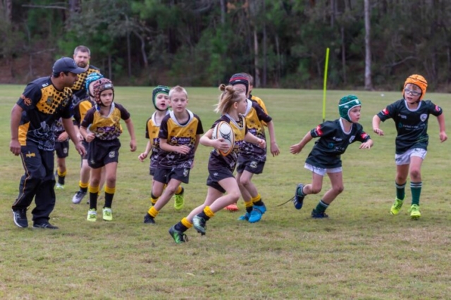 Medowie and Districts Rugby Club