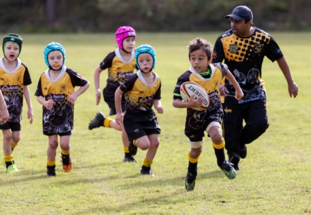 Medowie and Districts Rugby Club