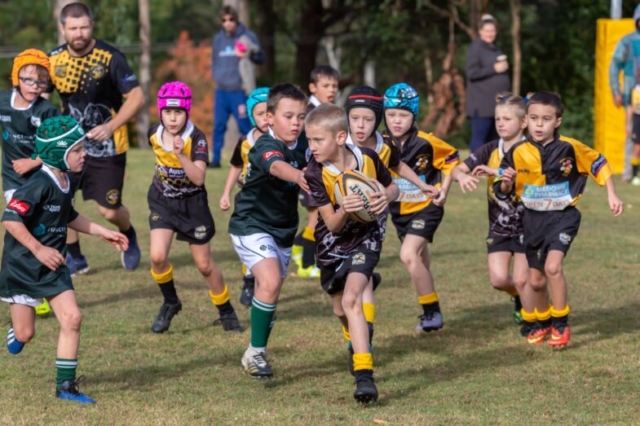 Medowie and Districts Rugby Club