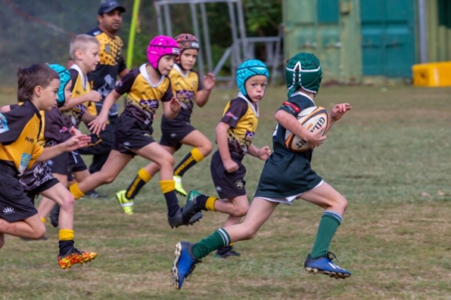 Medowie and Districts Rugby Club