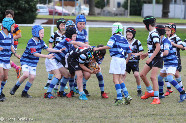 Wanderers Rugby Club