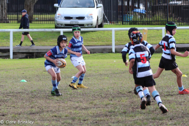 Wanderers Rugby Club