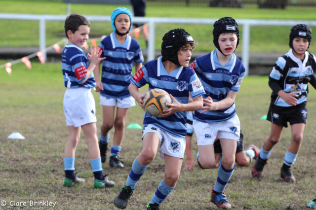 Wanderers Rugby Club