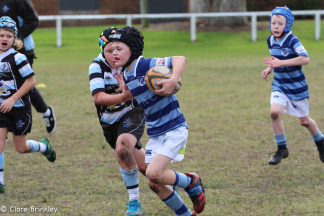 Wanderers Rugby Club