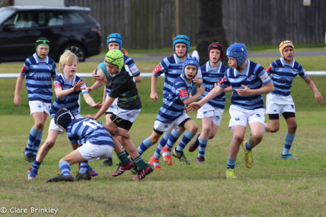 Wanderers Rugby Club