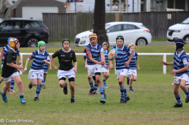 Wanderers Rugby Club