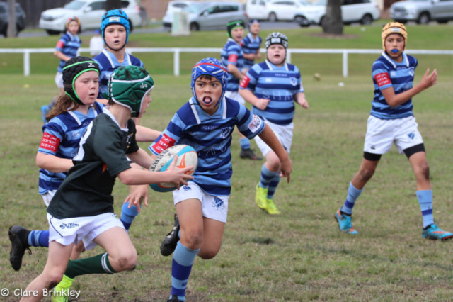 Wanderers Rugby Club