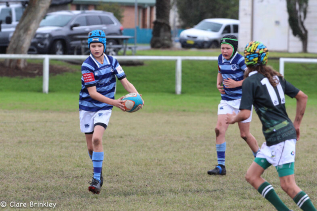 Wanderers Rugby Club