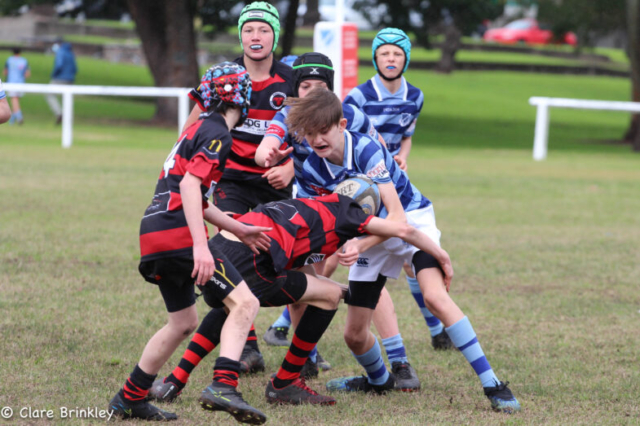 Wanderers Rugby Club