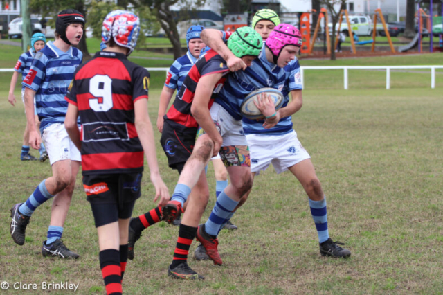 Wanderers Rugby Club