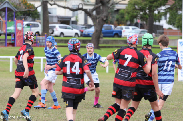 Wanderers Rugby Club