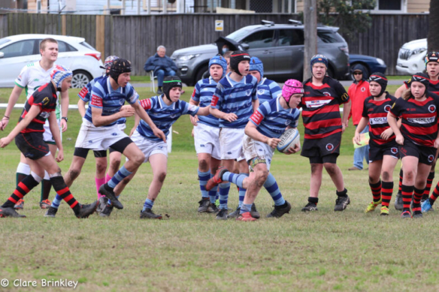 Wanderers Rugby Club