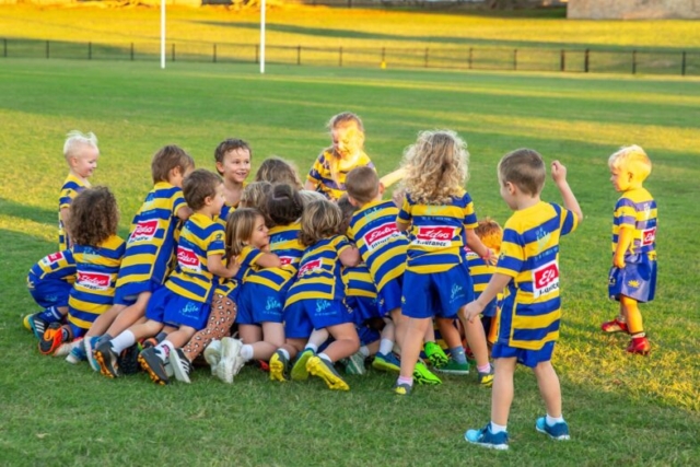 TINY hawks Hamilton Hawks